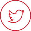 twitter icon